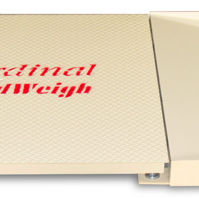 Balanza de Plataforma RuggedWeigh Económica