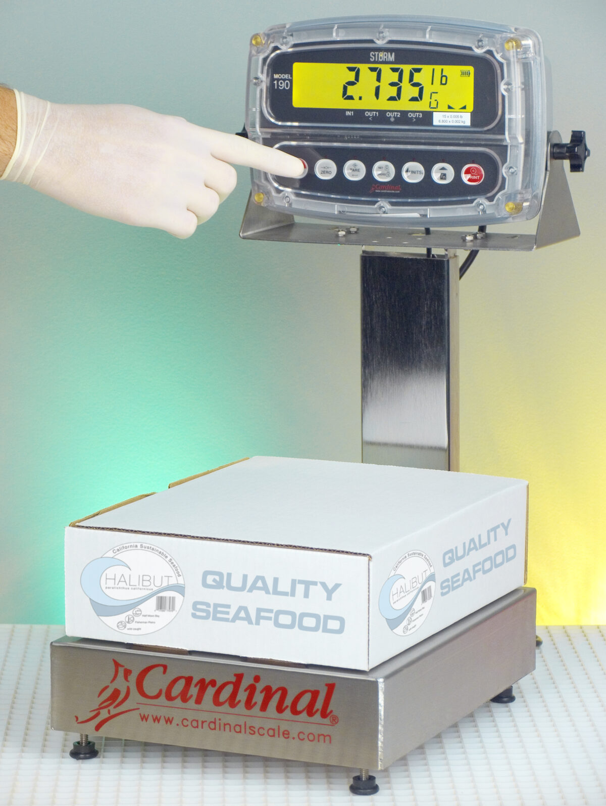 EB-15-190-BoxWeighing EB-190 con Indicador 190