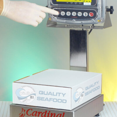 EB-15-190-BoxWeighing EB-190 con Indicador 190