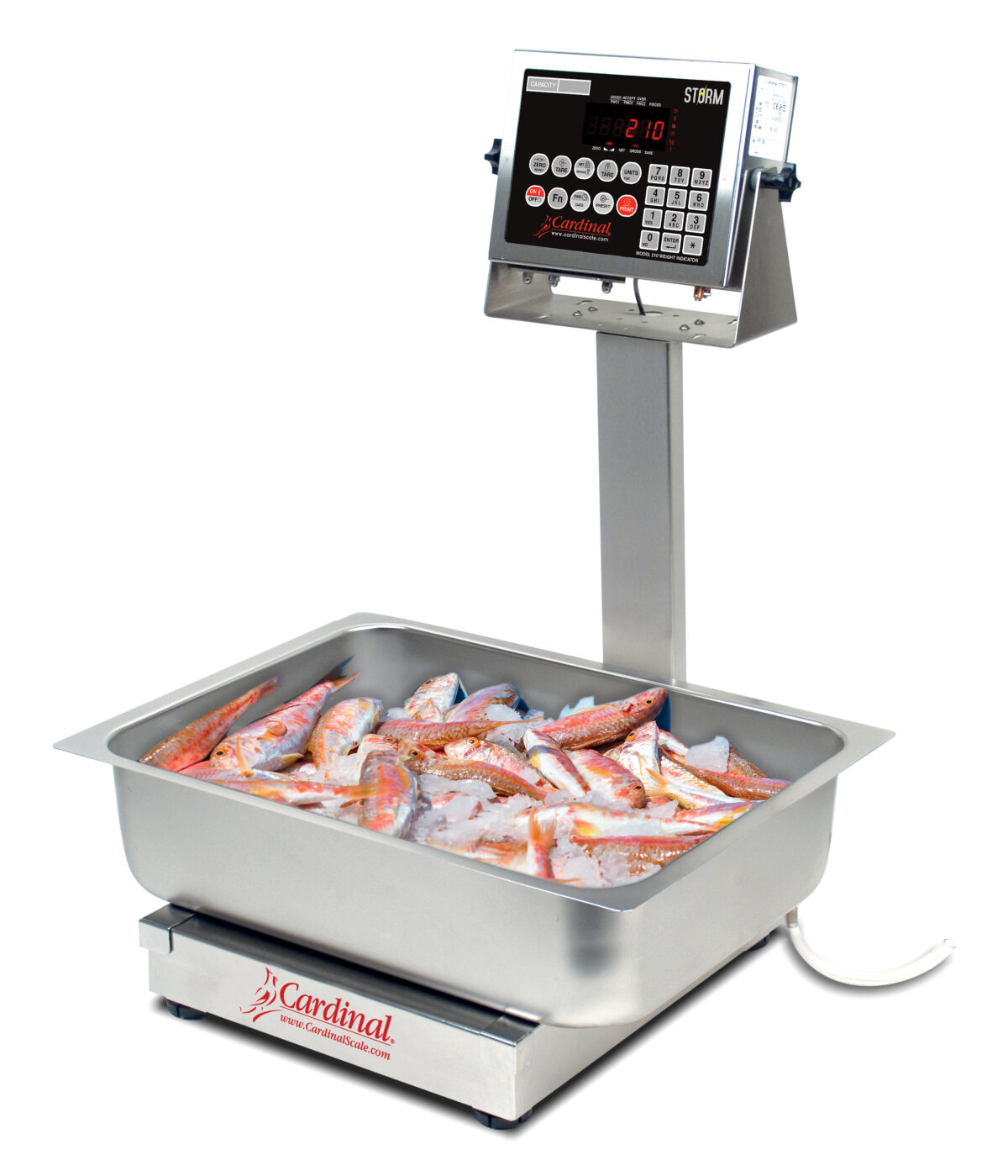 EB60210_FishWeighingApplication_1 EB-210 Series con Indicador 210