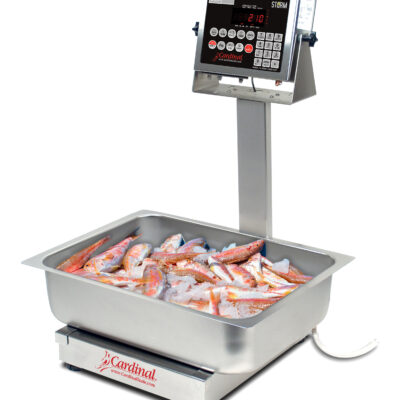 EB60210_FishWeighingApplication_1 EB-210 Series con Indicador 210