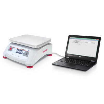 Valor 1000 V12P