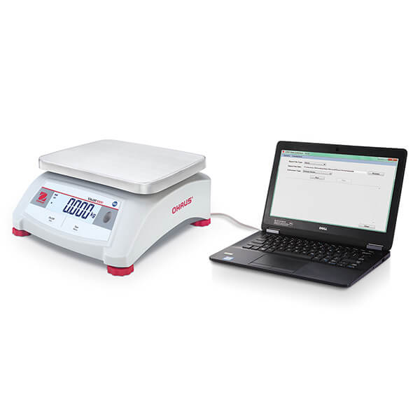 Valor 1000 V12P