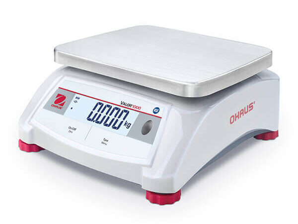 Valor 1000 V12P